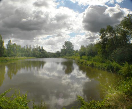 Fischweiher