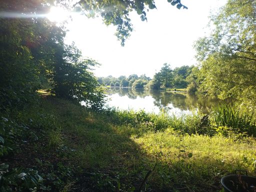 Fischweiher