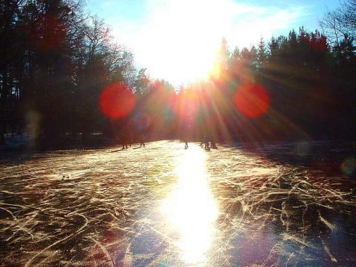 Warndtweiher im Winter