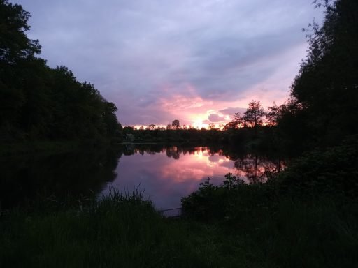 Fischweiher