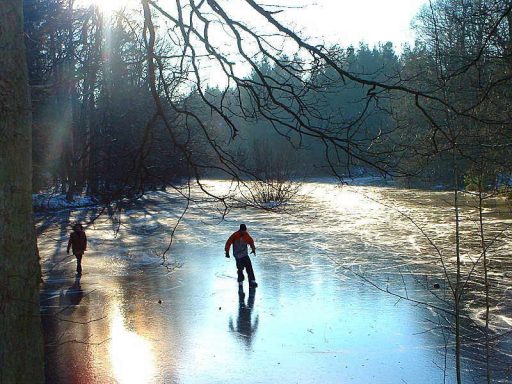 Warndtweiher im Winter