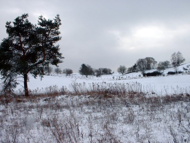 Winterlandschaft in Differten