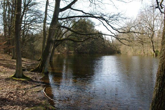 Warndtweiher